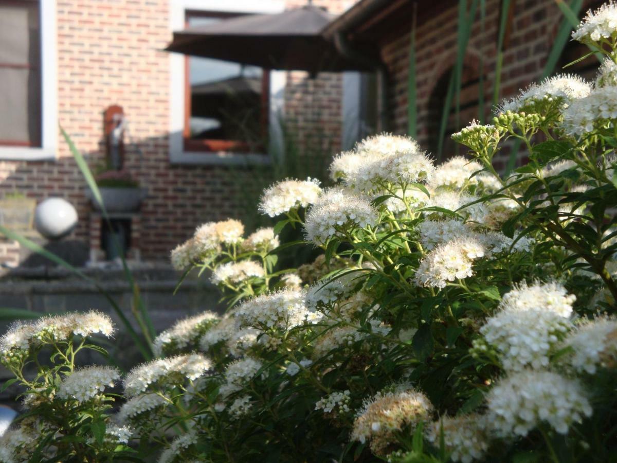 Vakantiewoning Salix Herne Exterior photo
